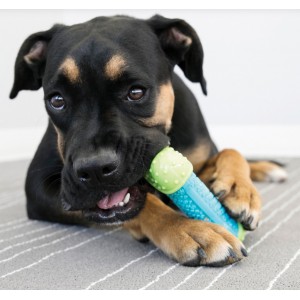 KONG CoreStrength Bone