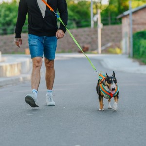 DINGO Obroża Active - Sydney