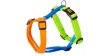DINGO Szelki Guard Active - Sydney