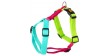 DINGO Szelki Guard Active - Brasil