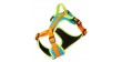 DINGO Szelki Active - Sydney