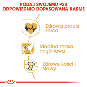 ROYAL CANIN Rottweiler Adult