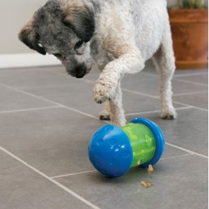 KONG Spin It