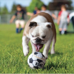 KONG Sport Balls Assorted (3pack)