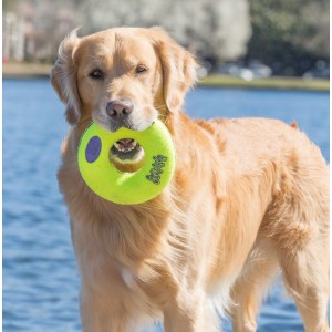 KONG AirDog Bone