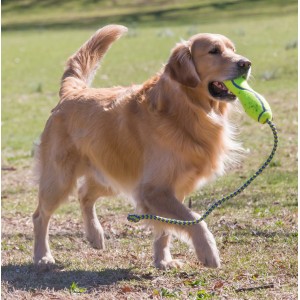 KONG SqueakAir Balls (6pack) M