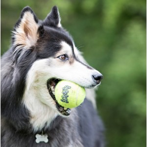 KONG SqueakAir Balls (6pack) M