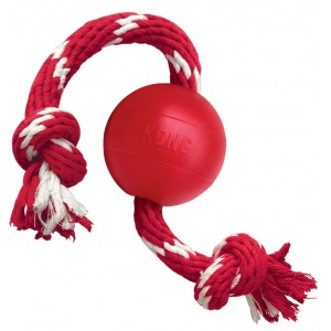 KONG Dental with Rope