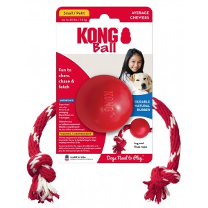KONG Dental with Rope