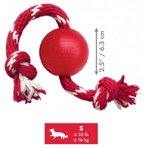 KONG Dental with Rope