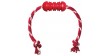 KONG Dental with Rope