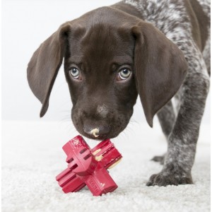 KONG Puppy Teething Stick