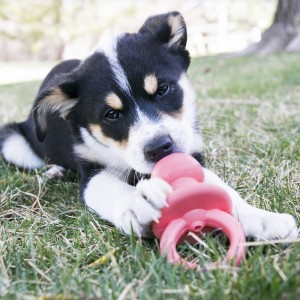 KONG Binkie Puppy - smoczek