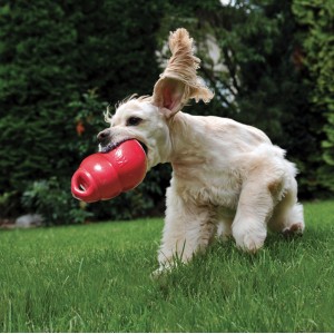 KONG Bounzer