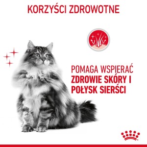 ROYAL CANIN Hair & Skin Care karma sucha dla kotów dorosłych, lśniąca sierść i zdrowa skóra