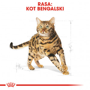 ROYAL CANIN Bengal Adult karma sucha dla kotów dorosłych rasy bengal