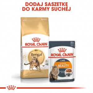 ROYAL CANIN Bengal Adult karma sucha dla kotów dorosłych rasy bengal