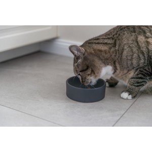 TRIXIE Miska ceramiczna dla kota 0,15l/12 cm - mix kolorów