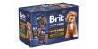 BRIT PREMIUM BY NATURE Pouch Gravy Fillets Multipack (12x 85g)
