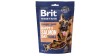 BRIT PREMIUM Dog Snack Salmon with Dill 180g