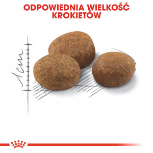 ROYAL CANIN Sterilised +7 karma sucha dla kotów dorosłych od 7 do 12 roku życia, sterylizowanych