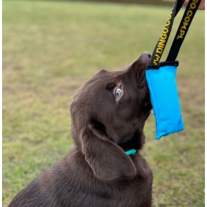 DINGO Gryzak AGILITY 15cm / 6cm