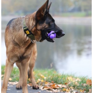 DINGO Zabawka winylowa Halloween - Nietoperz Nocek 9 cm
