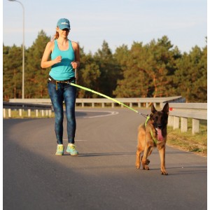 DINGO Smycz do biegania z amortyzatorem i dwoma karabińczykami