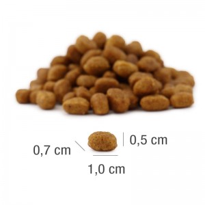 PLATINUM MeatCrisp Adult Chicken