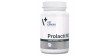 VETEXPERT ProlactiNO Large Breed - duże rasy 40 tab. PROMO