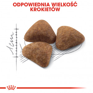 ROYAL CANIN Indoor 27 karma sucha dla kotów dorosłych, przebywających wyłącznie w domu
