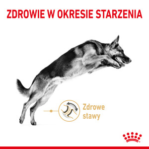 ROYAL CANIN German Shepherd 5+