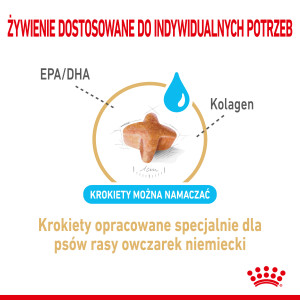 ROYAL CANIN German Shepherd 5+