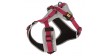DINGO Szelki Ultra Active - bordowy