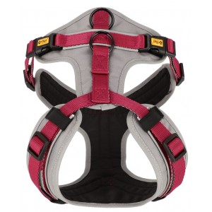 DINGO Szelki Ultra Active - bordowy