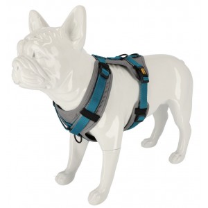 DINGO Szelki Ultra Active - bordowy
