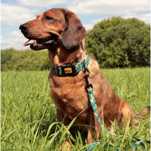 DINGO Smycz przepinana City Monstera