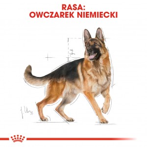 ROYAL CANIN German Shepherd Adult 