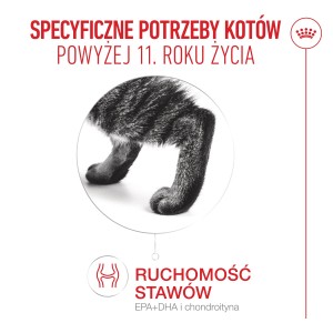 ROYAL CANIN Ageing 11+ karma sucha dla kotów dojrzałych po 11 roku życia