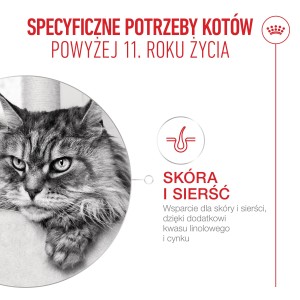 ROYAL CANIN Ageing 11+ karma sucha dla kotów dojrzałych po 11 roku życia