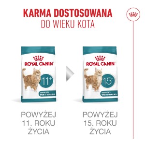 ROYAL CANIN Ageing 11+ karma sucha dla kotów dojrzałych po 11 roku życia