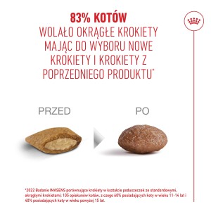 ROYAL CANIN Ageing 11+ karma sucha dla kotów dojrzałych po 11 roku życia