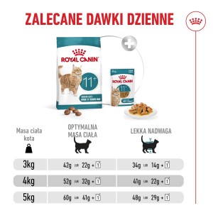 ROYAL CANIN Ageing 11+ karma sucha dla kotów dojrzałych po 11 roku życia