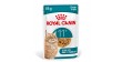 ROYAL CANIN Ageing 11+ Jelly karma mokra, kawałki w galaretce, dla kotów dojrzałych po 11 roku życia