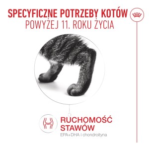 ROYAL CANIN Ageing 11+ Jelly karma mokra, kawałki w galaretce, dla kotów dojrzałych po 11 roku życia