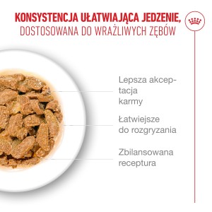 ROYAL CANIN Ageing 11+ Jelly karma mokra, kawałki w galaretce, dla kotów dojrzałych po 11 roku życia