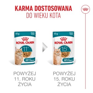 ROYAL CANIN Ageing 11+ Jelly karma mokra, kawałki w galaretce, dla kotów dojrzałych po 11 roku życia