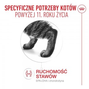 ROYAL CANIN Ageing 11+ Gravy karma mokra, kawałki w sosie, dla kotów dojrzałych po 11 roku życia