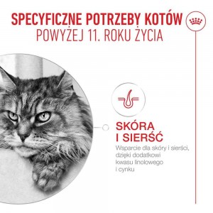 ROYAL CANIN Ageing 11+ Gravy karma mokra, kawałki w sosie, dla kotów dojrzałych po 11 roku życia