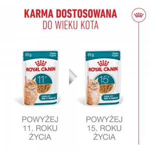 ROYAL CANIN Ageing 11+ Gravy karma mokra, kawałki w sosie, dla kotów dojrzałych po 11 roku życia